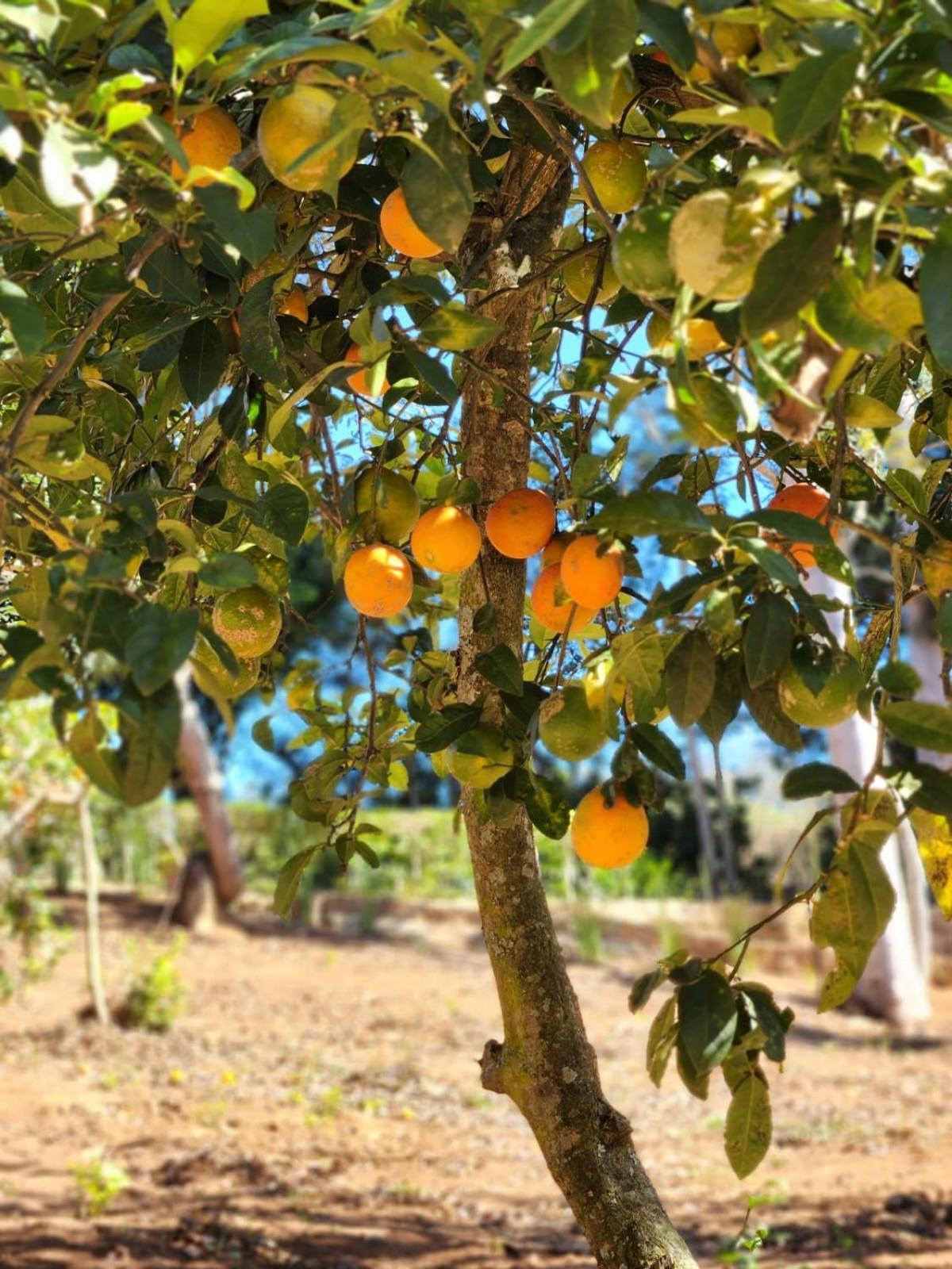 Pousada La Na Roca Paraisópolis エクステリア 写真