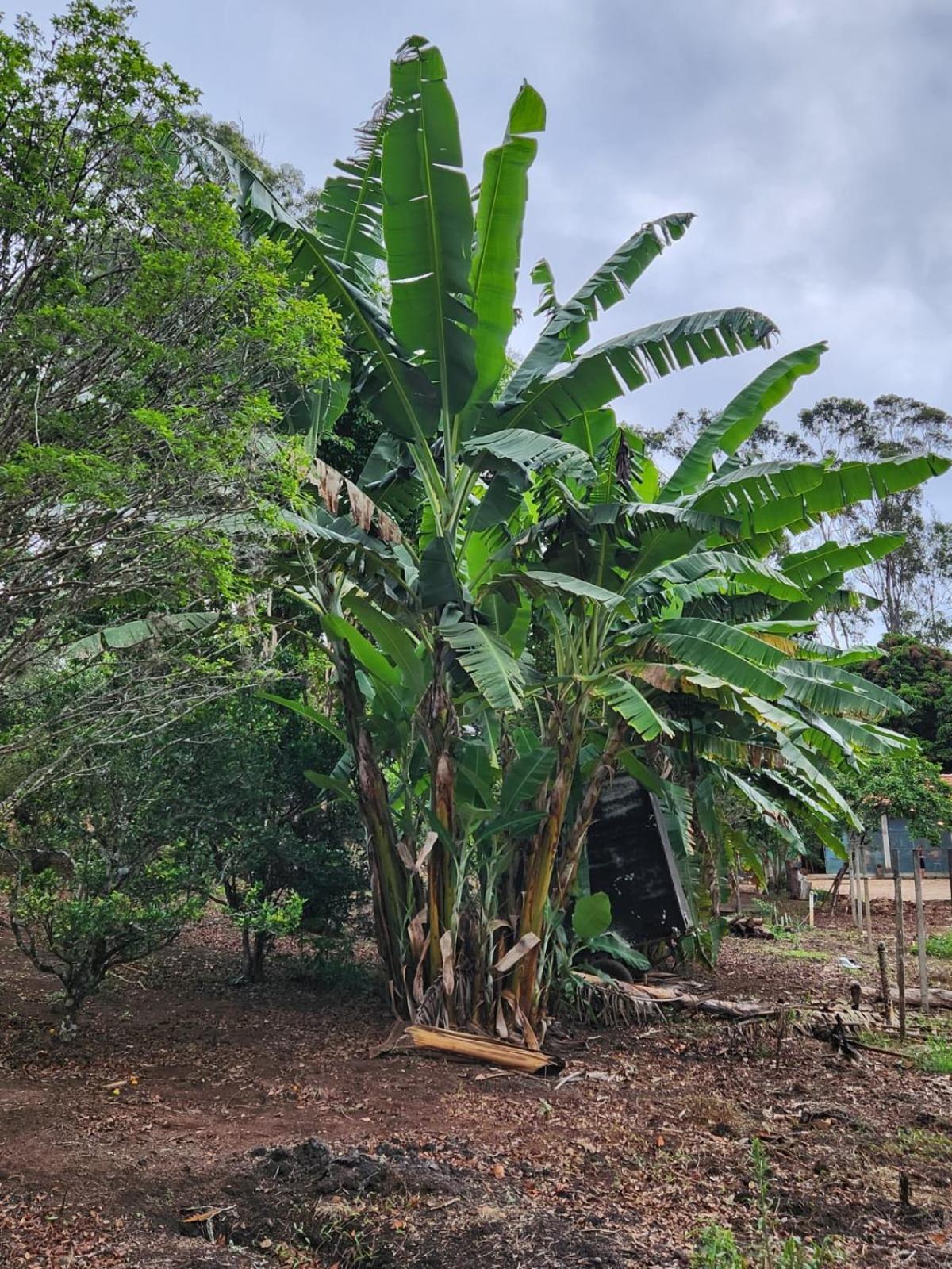 Pousada La Na Roca Paraisópolis エクステリア 写真